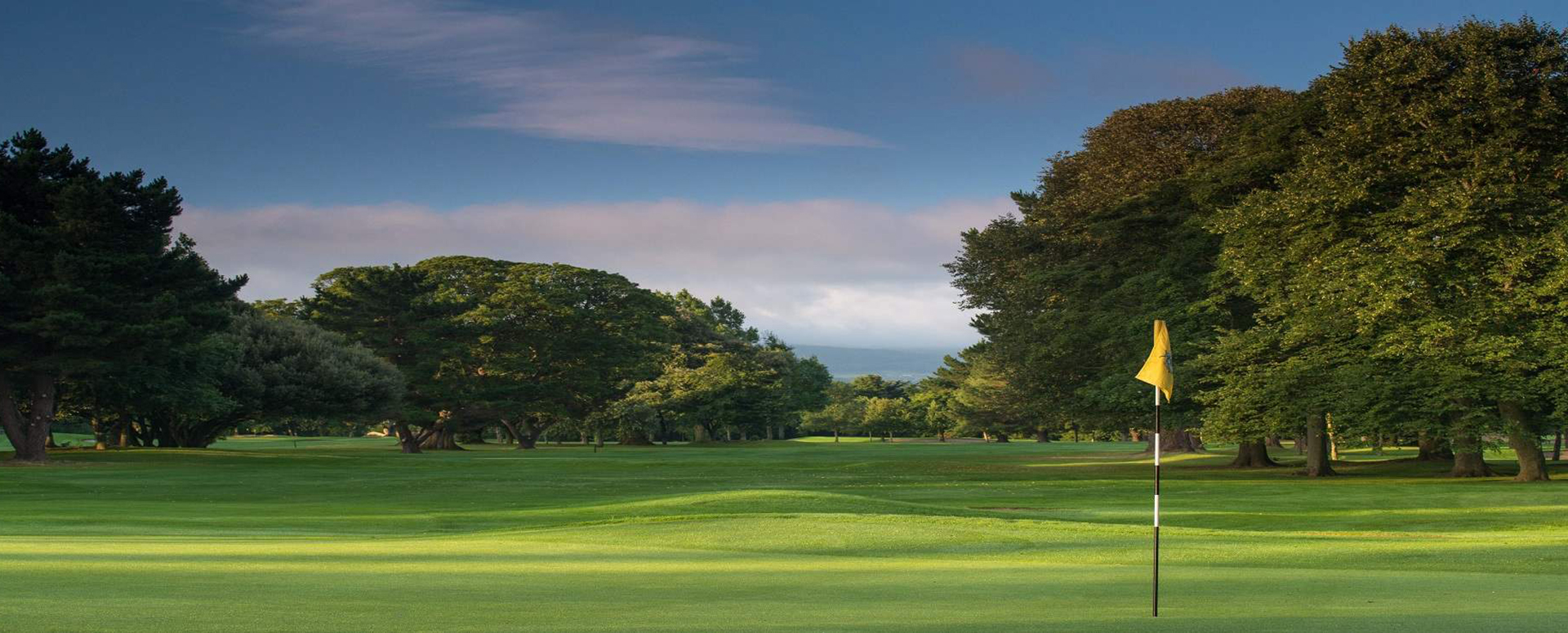 Castle Golf Club Co Dublin