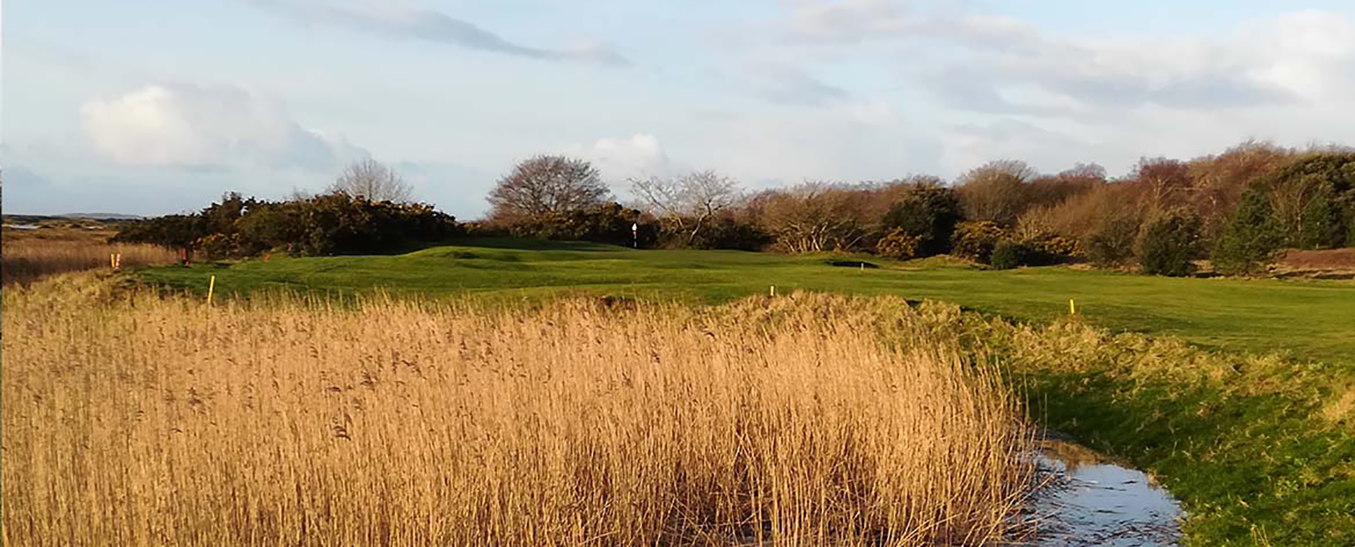 Swansea Bay Golf Club West Glamorgan