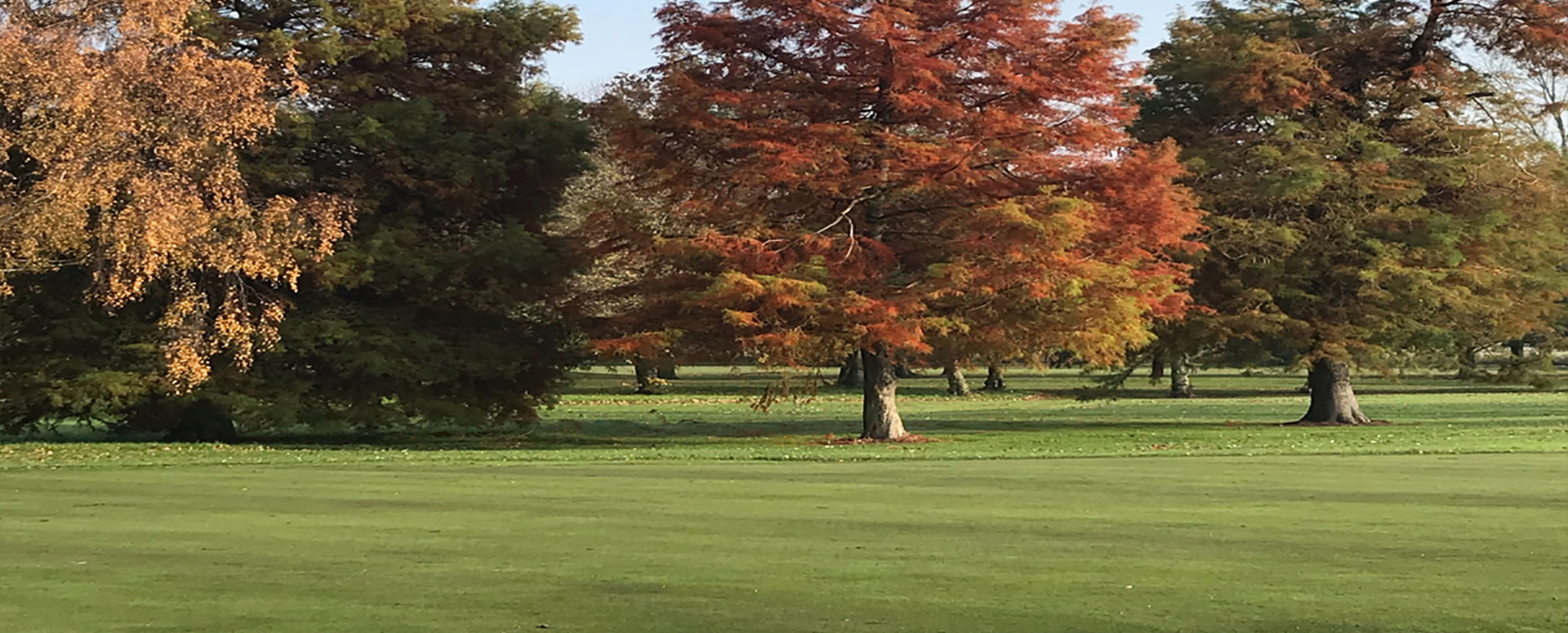 Boston Golf Club Lincolnshire