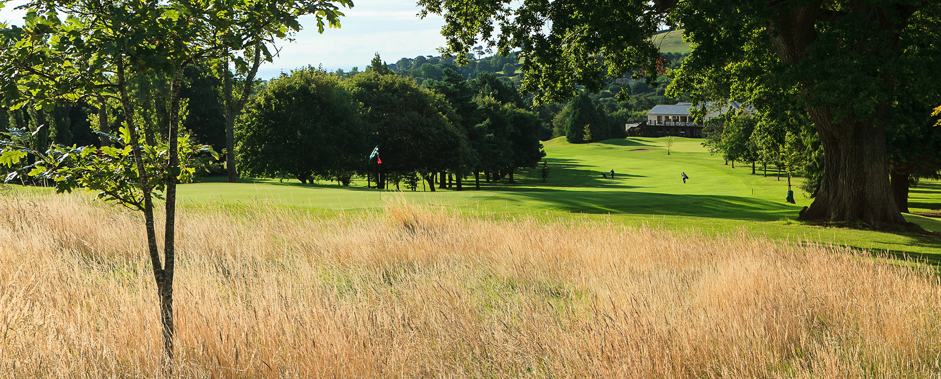 Delgany Golf Club Co Wicklow