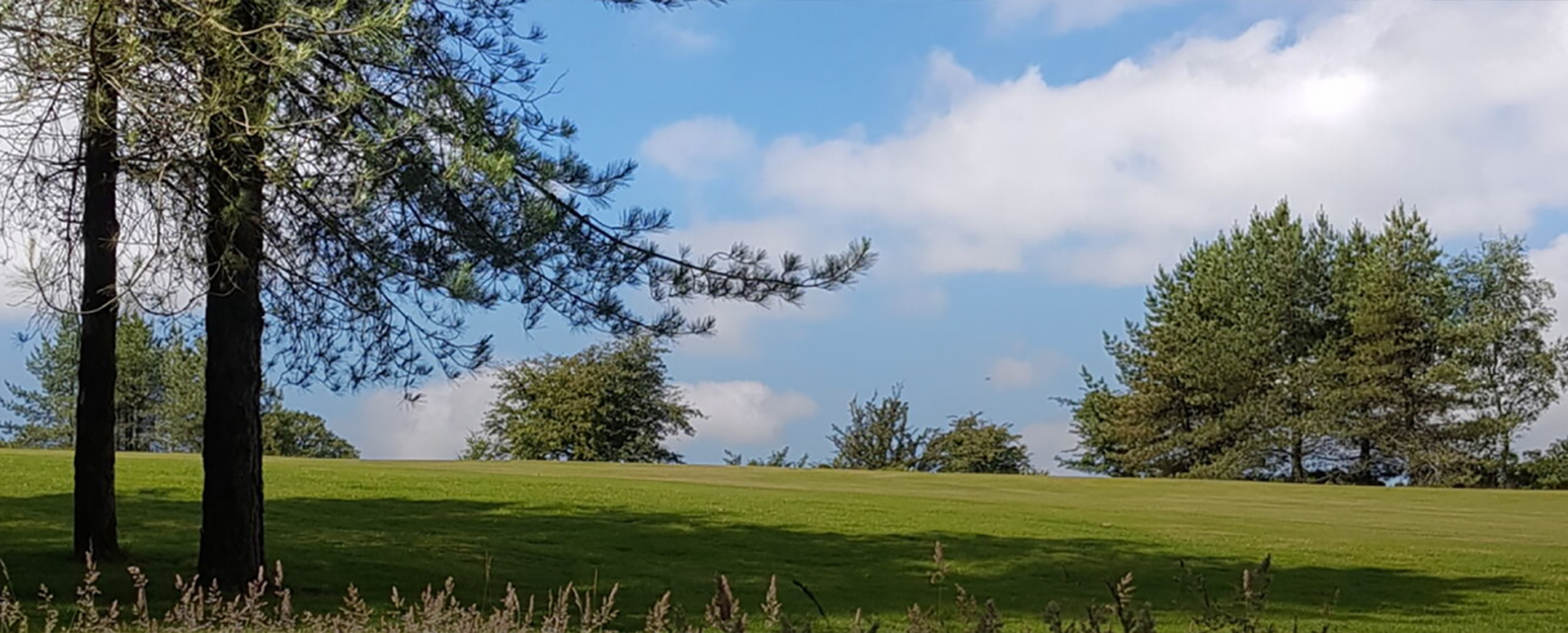 The Mendip Golf Club Somerset