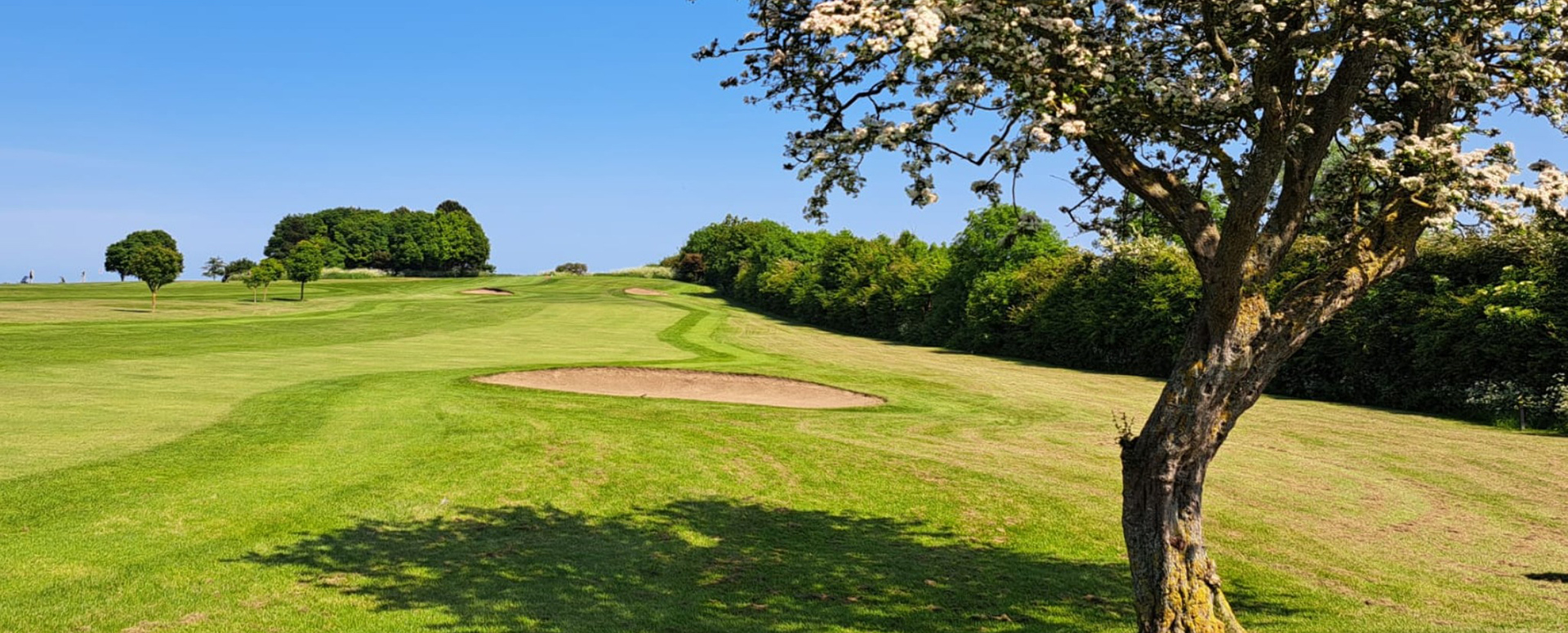 Boldon Golf Club Tyne and Wear