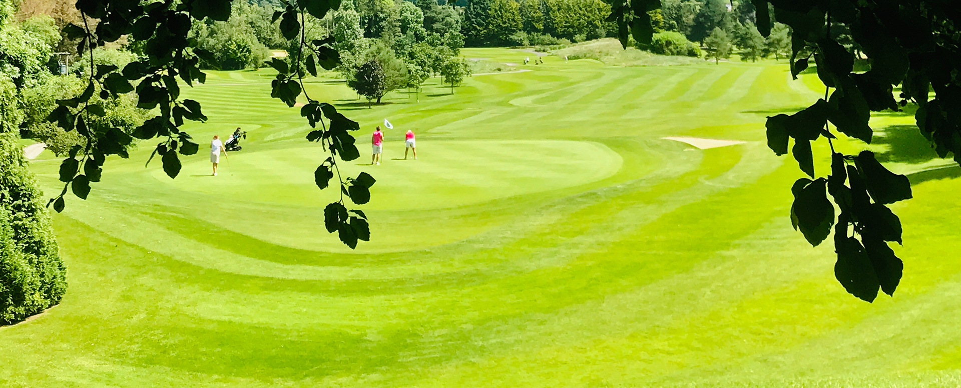 Naas Golf Club Co Kildare