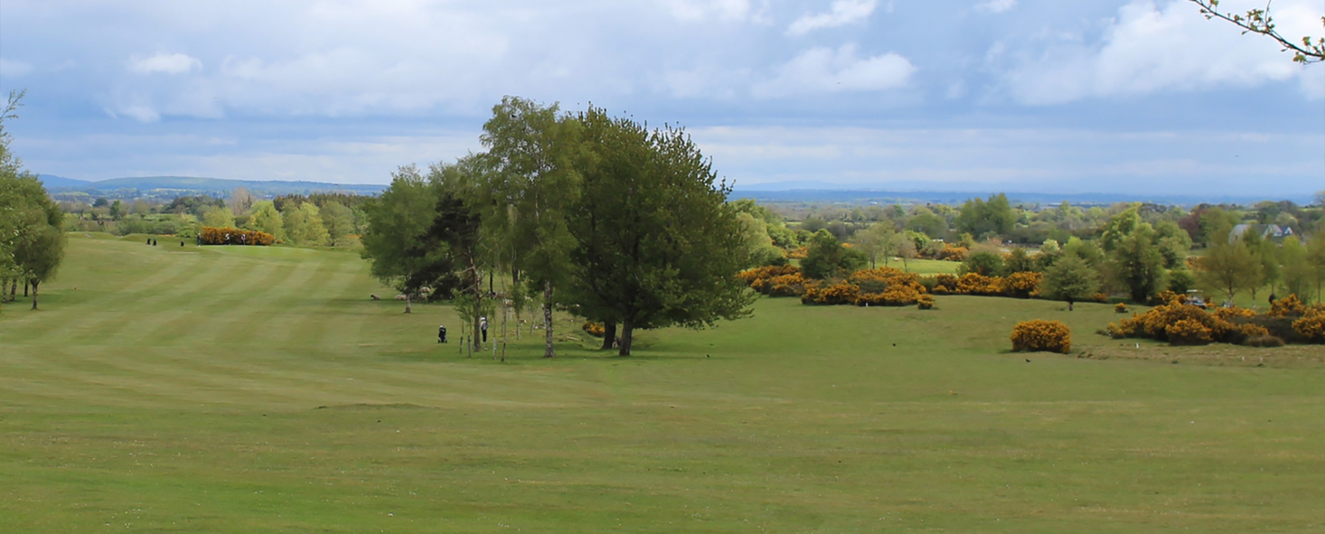 The Heath (Portlaoise) Golf Club Co Laois