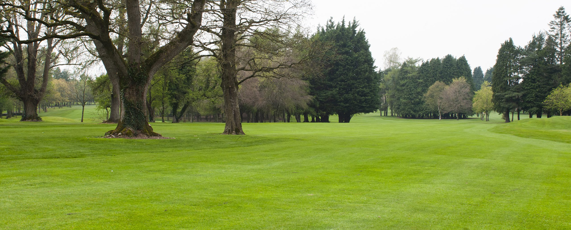 Royal Tara Golf Club Co Meath