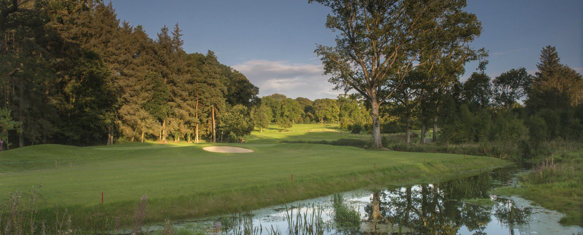 Rathsallagh Golf & Country Club Co Wicklow