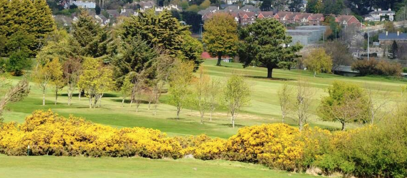 The Carrickmines Golf Club Co Dublin