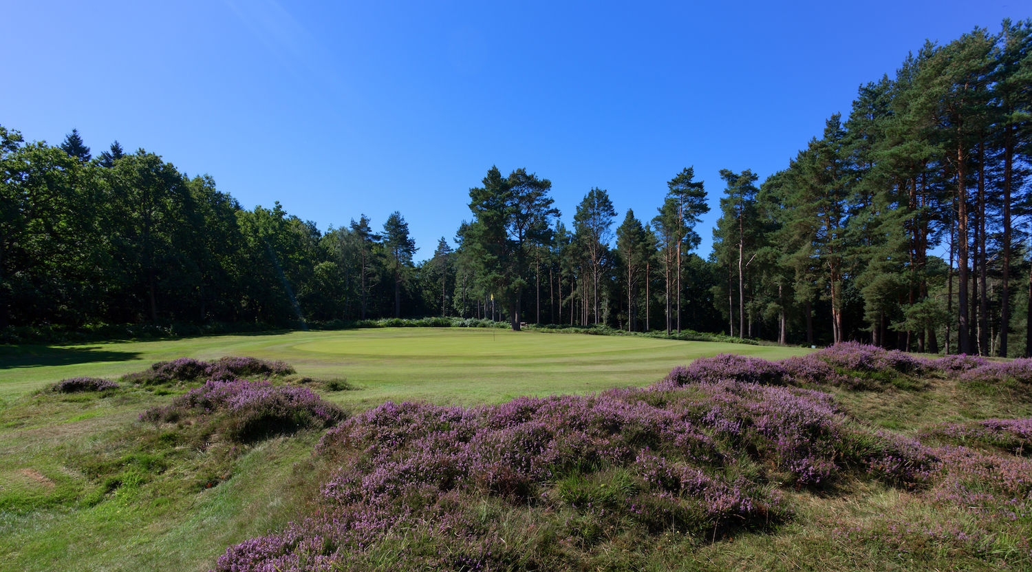 Royal Ashdown Forest Golf Club East Sussex