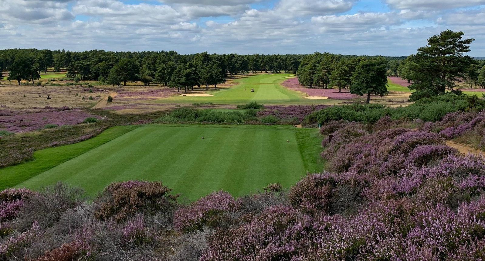 Hankley Common Golf Club Surrey