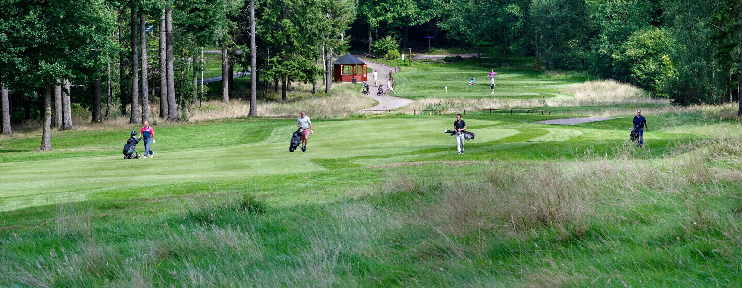 Remedy Oak Golf Club Dorset