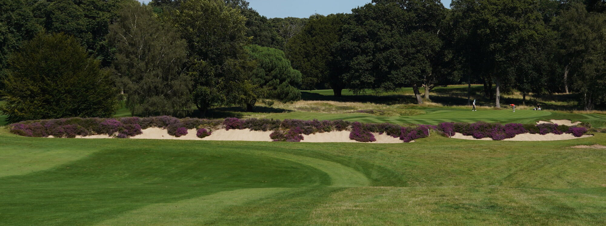 Stoneham Golf Club Hampshire