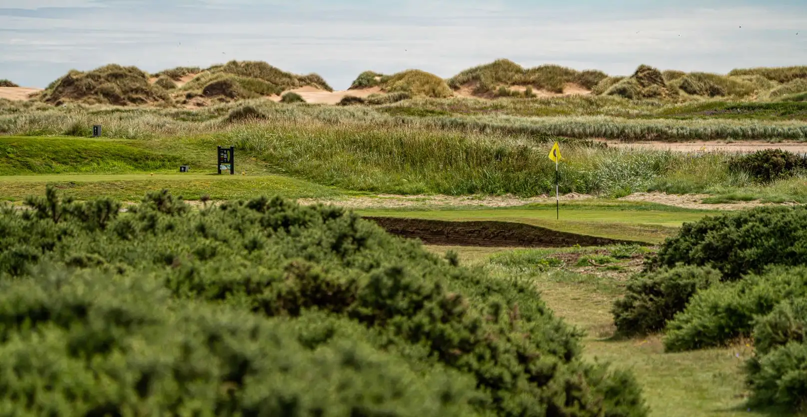 Newburgh On Ythan Golf Club Aberdeenshire