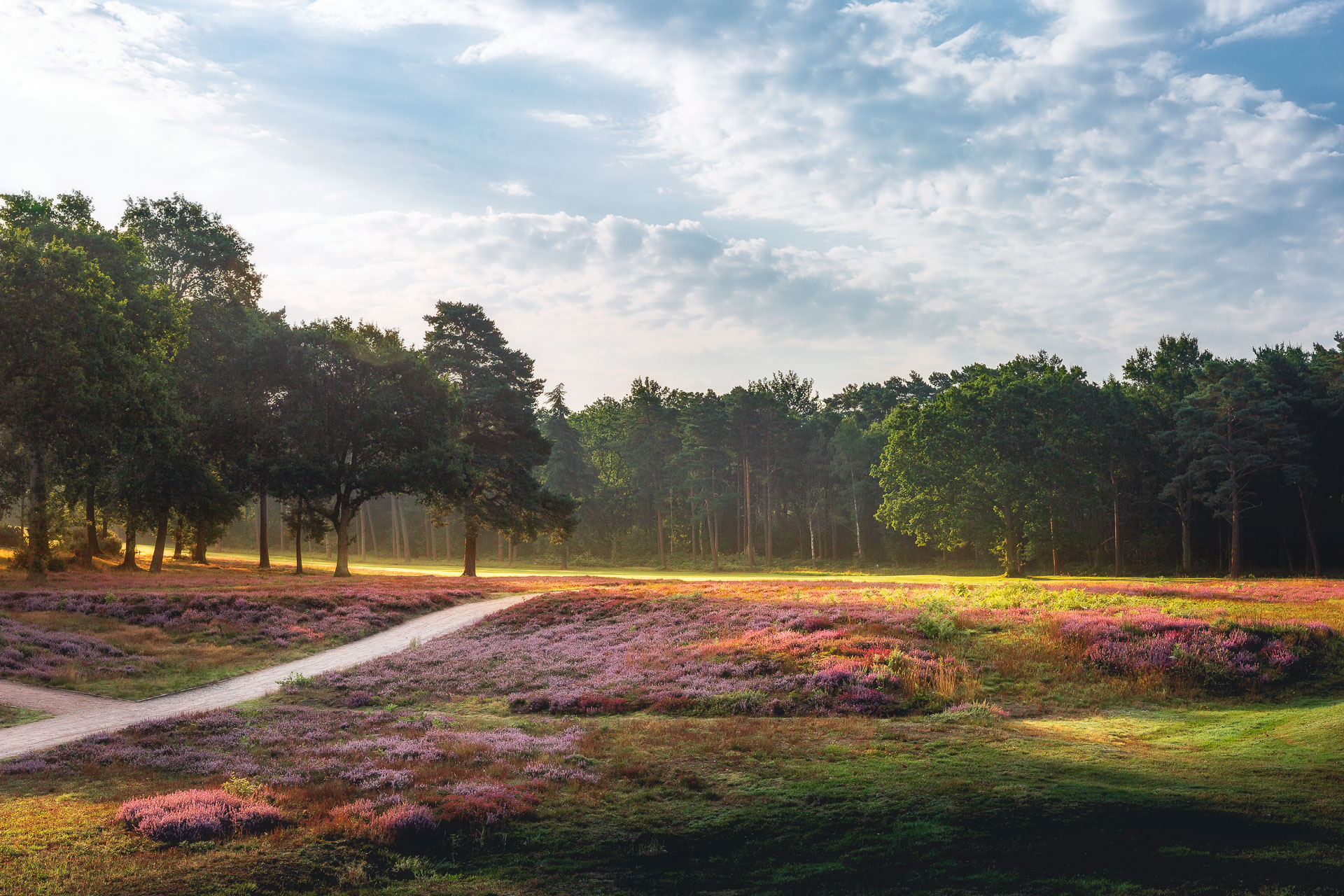 Woking Golf Club Surrey