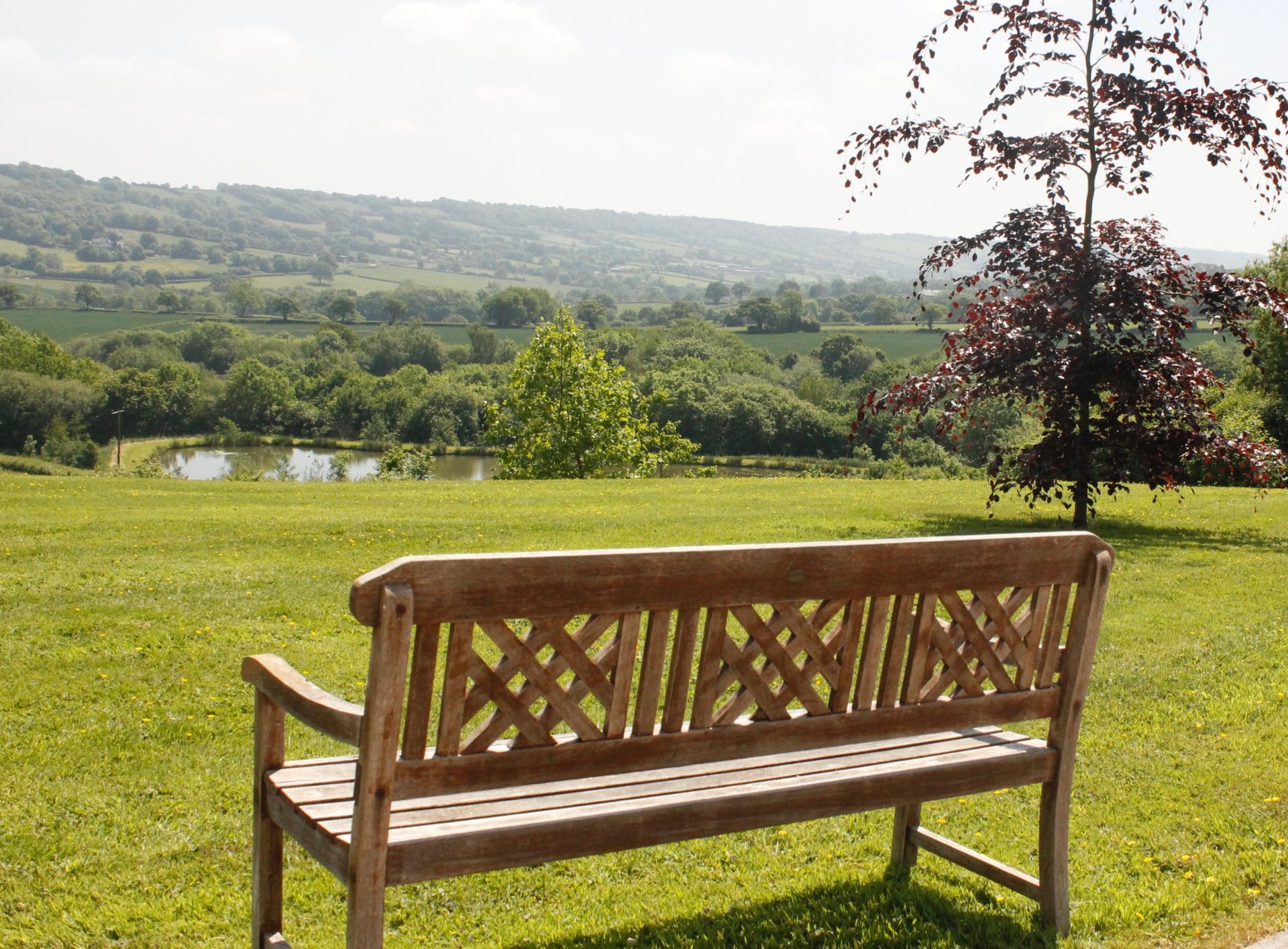 Odle Farm Devon