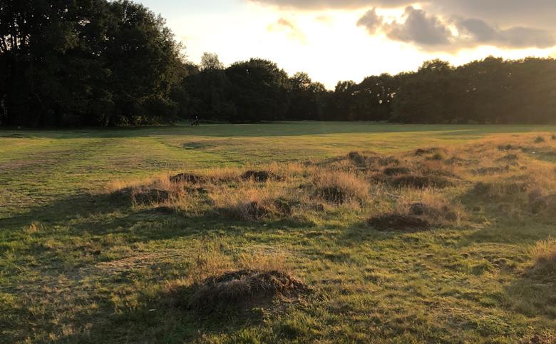 Thames Ditton & Esher Golf Club Surrey