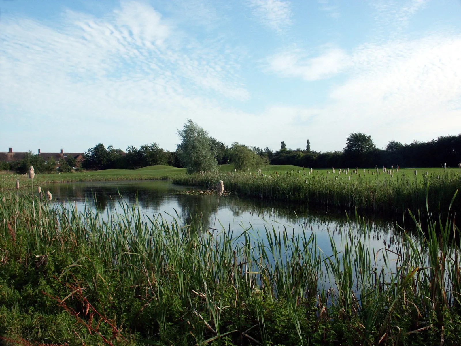 Weston Turville Golf Club Buckinghamshire