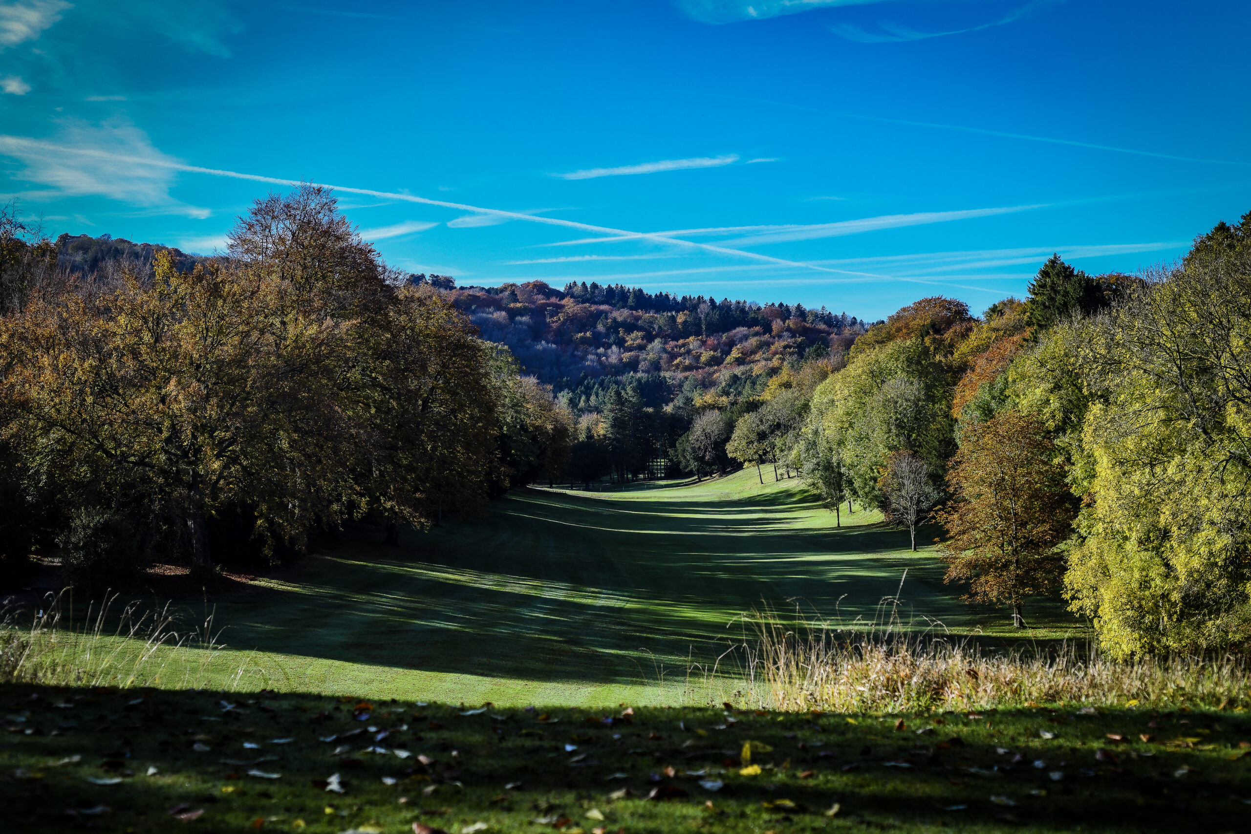 Chiltern Forest Golf Club Buckinghamshire