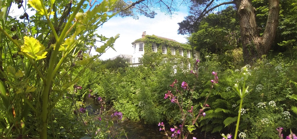 Rose in Vale Country House Hotel Cornwall