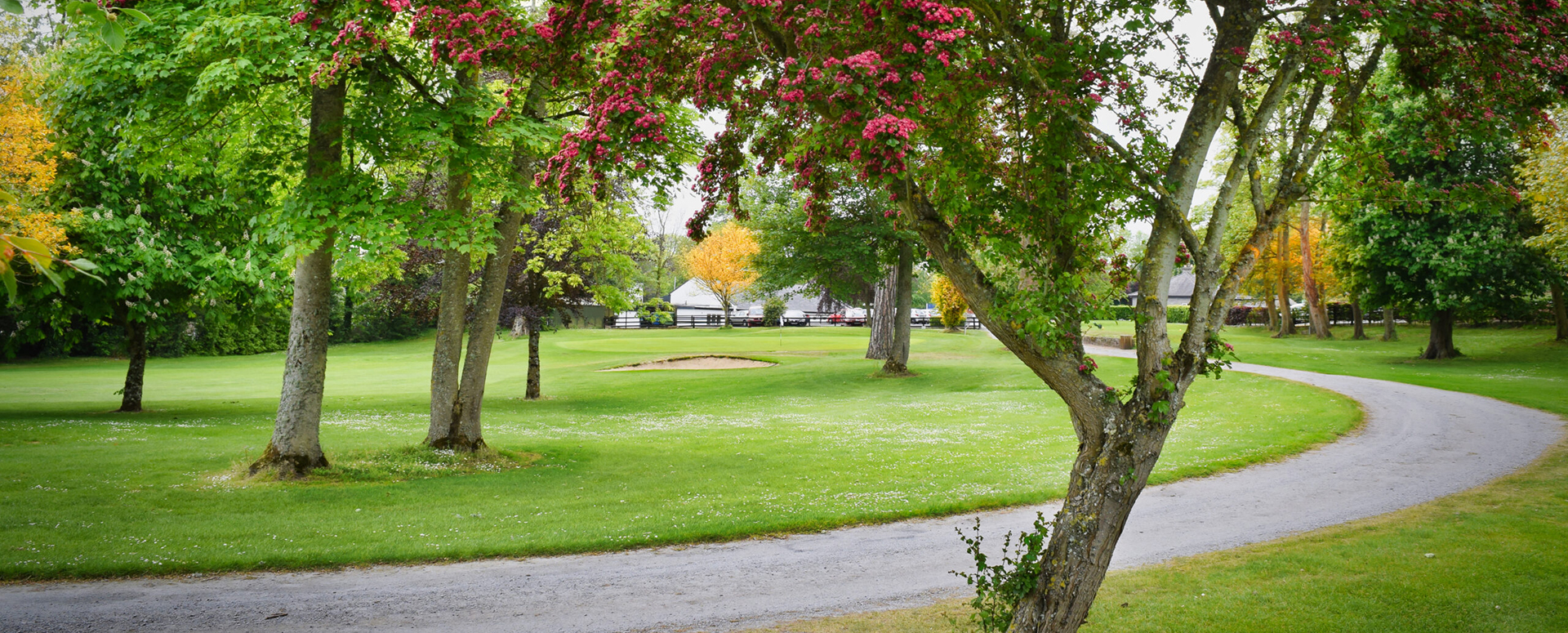 Adare Manor Golf Club Co Limerick